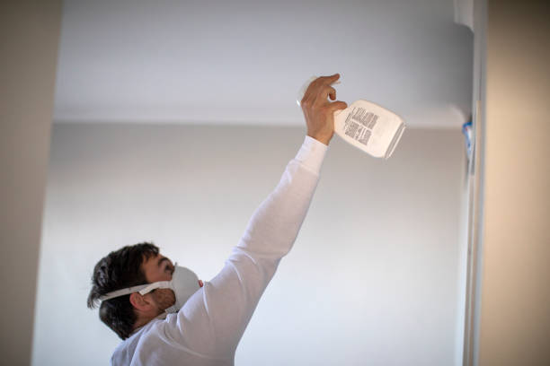 Best Black Mold Removal  in Watford City, ND