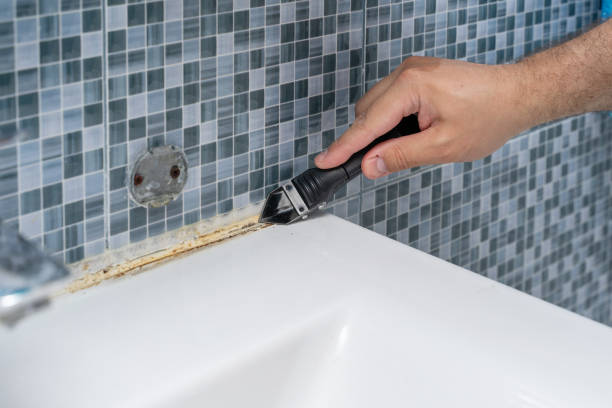 Best Fast Mold Removal  in Watford City, ND